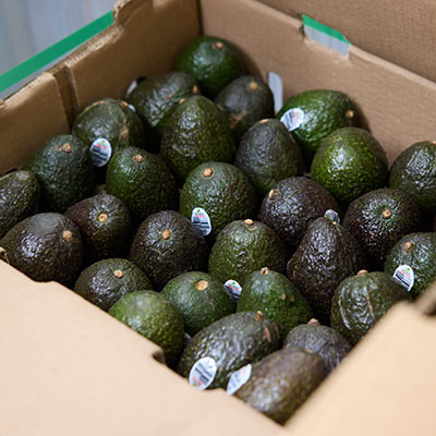 Food Quality & Safety image 1
