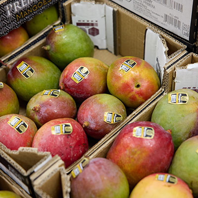 Food Quality & Safety Image 3